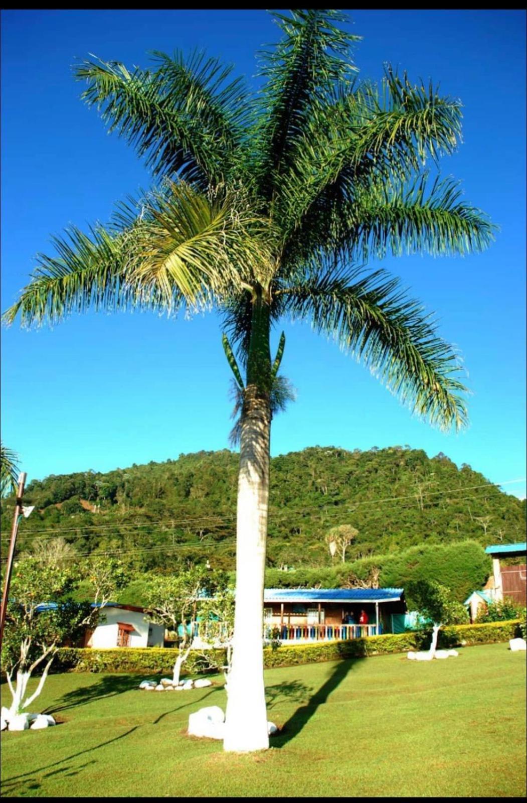 Guadalupe Villa Calima Exterior photo